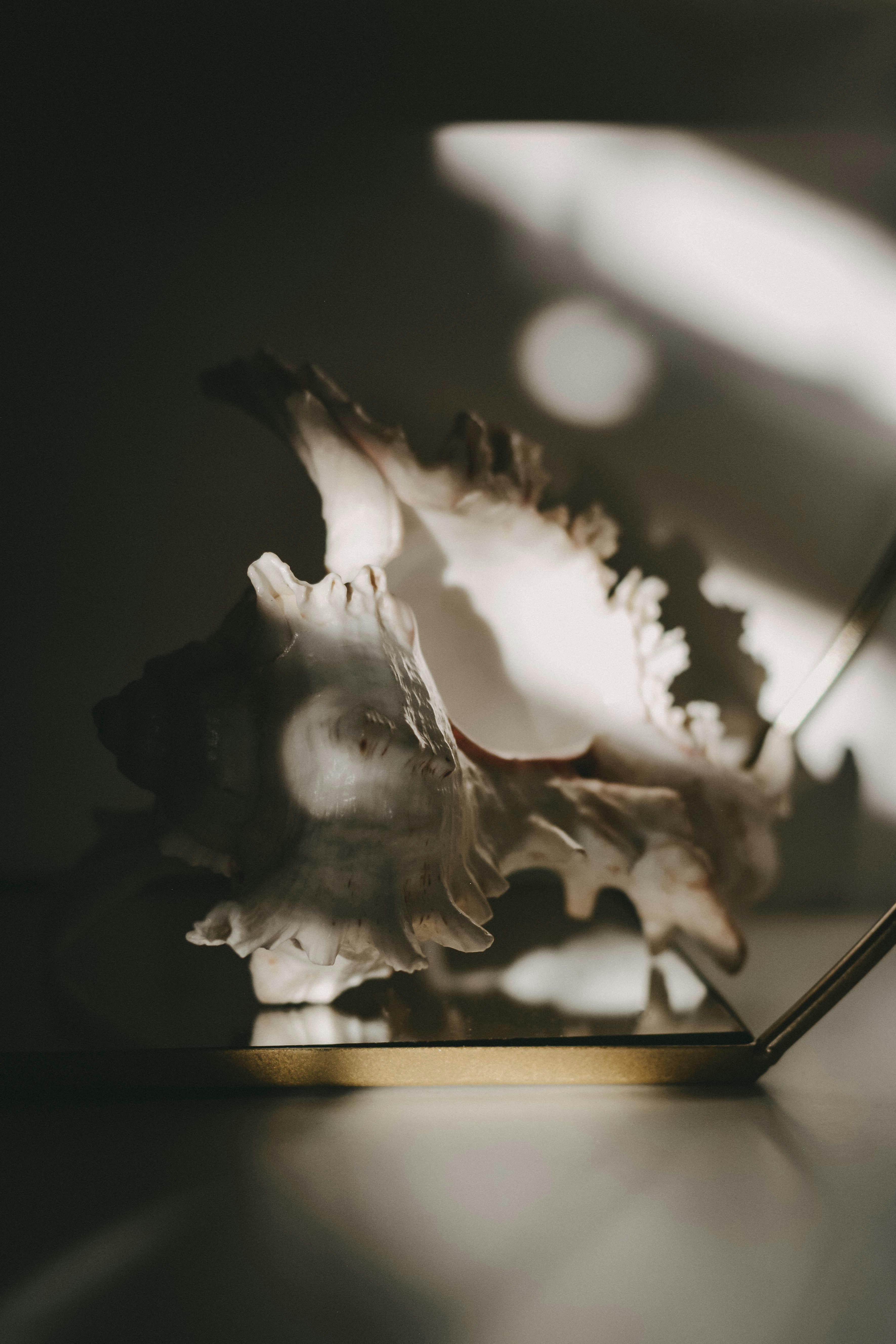 Photo by contentpixie