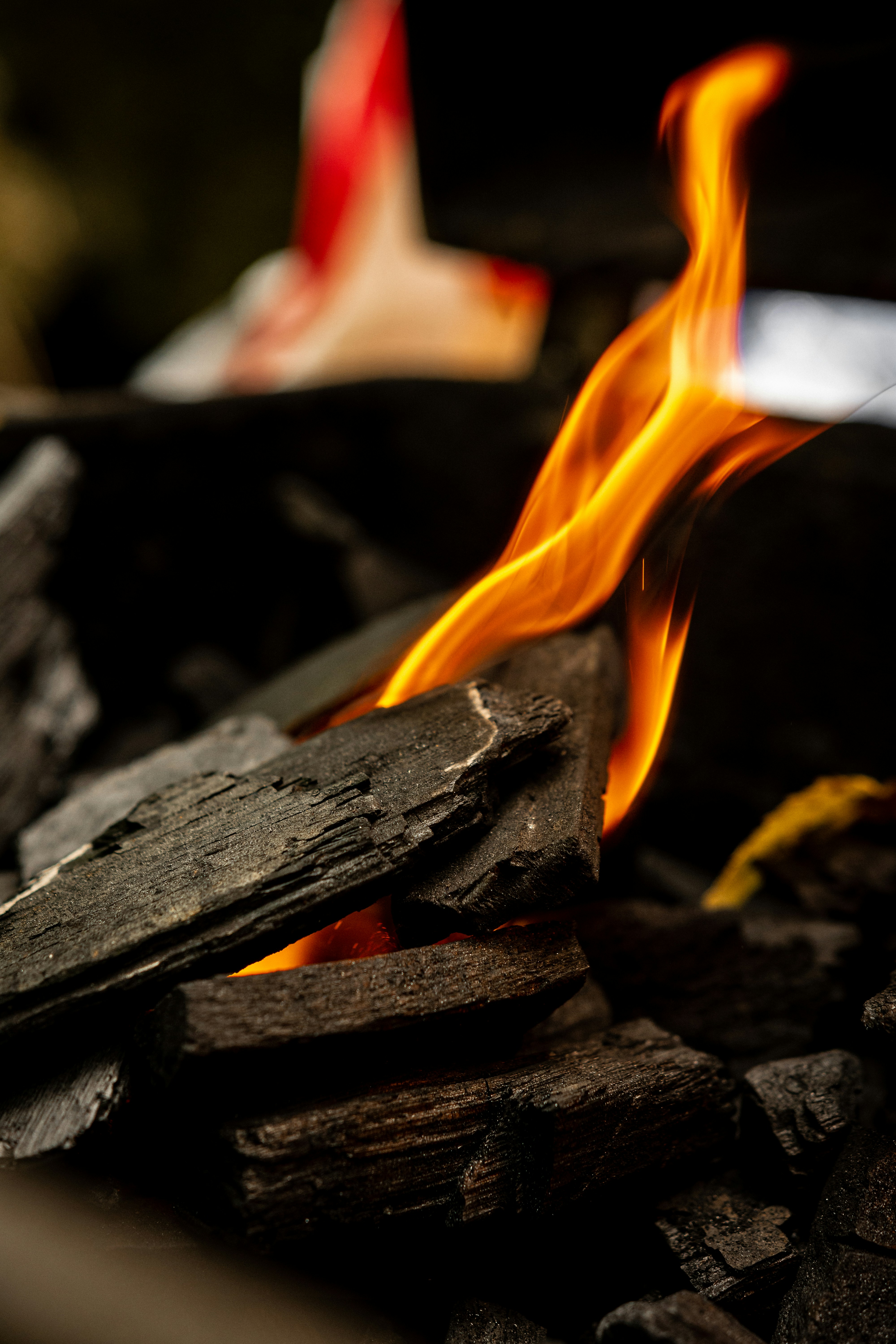 Photo by filipeadrianbraggio