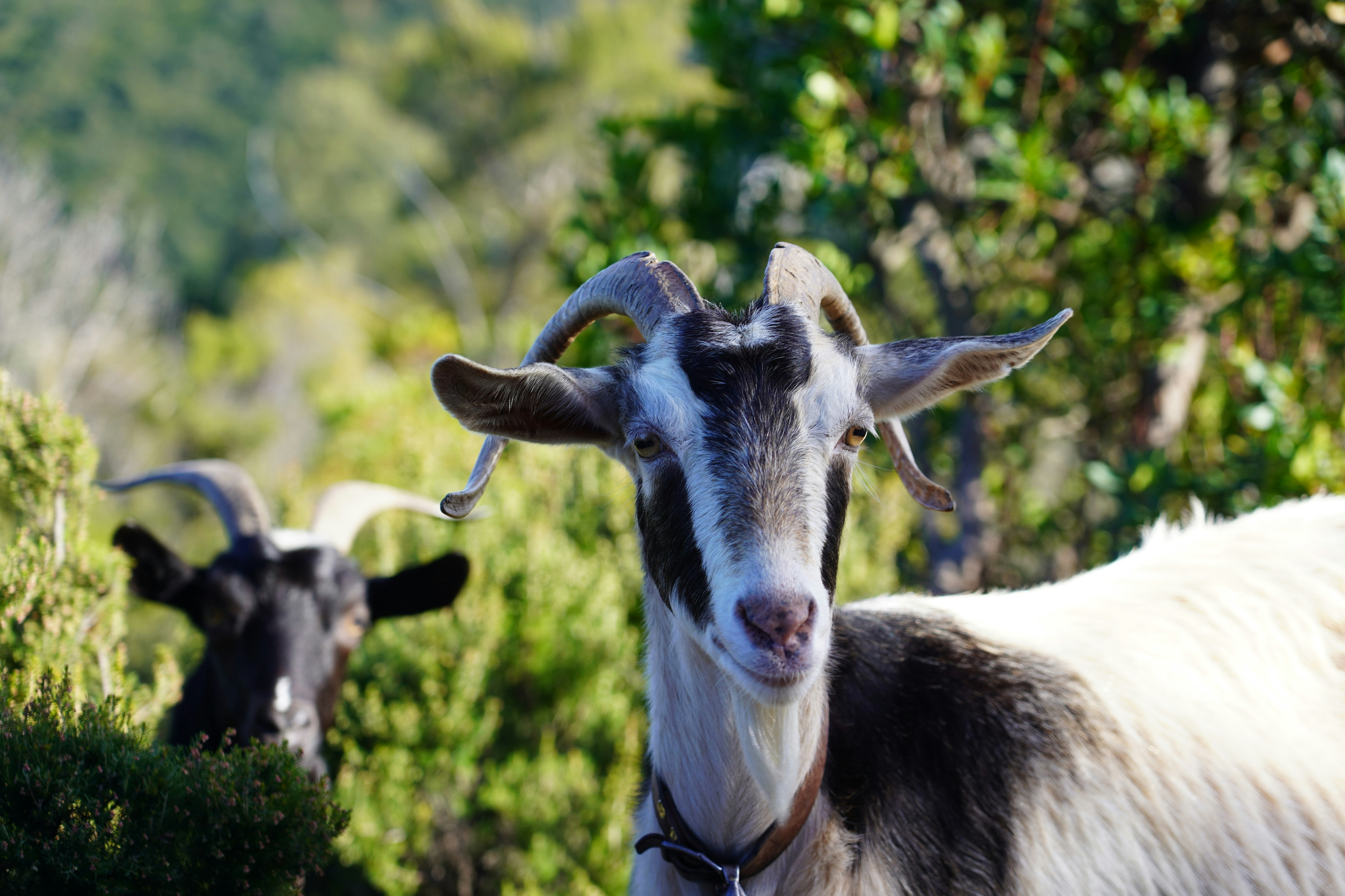 Photo by sardinien_blog