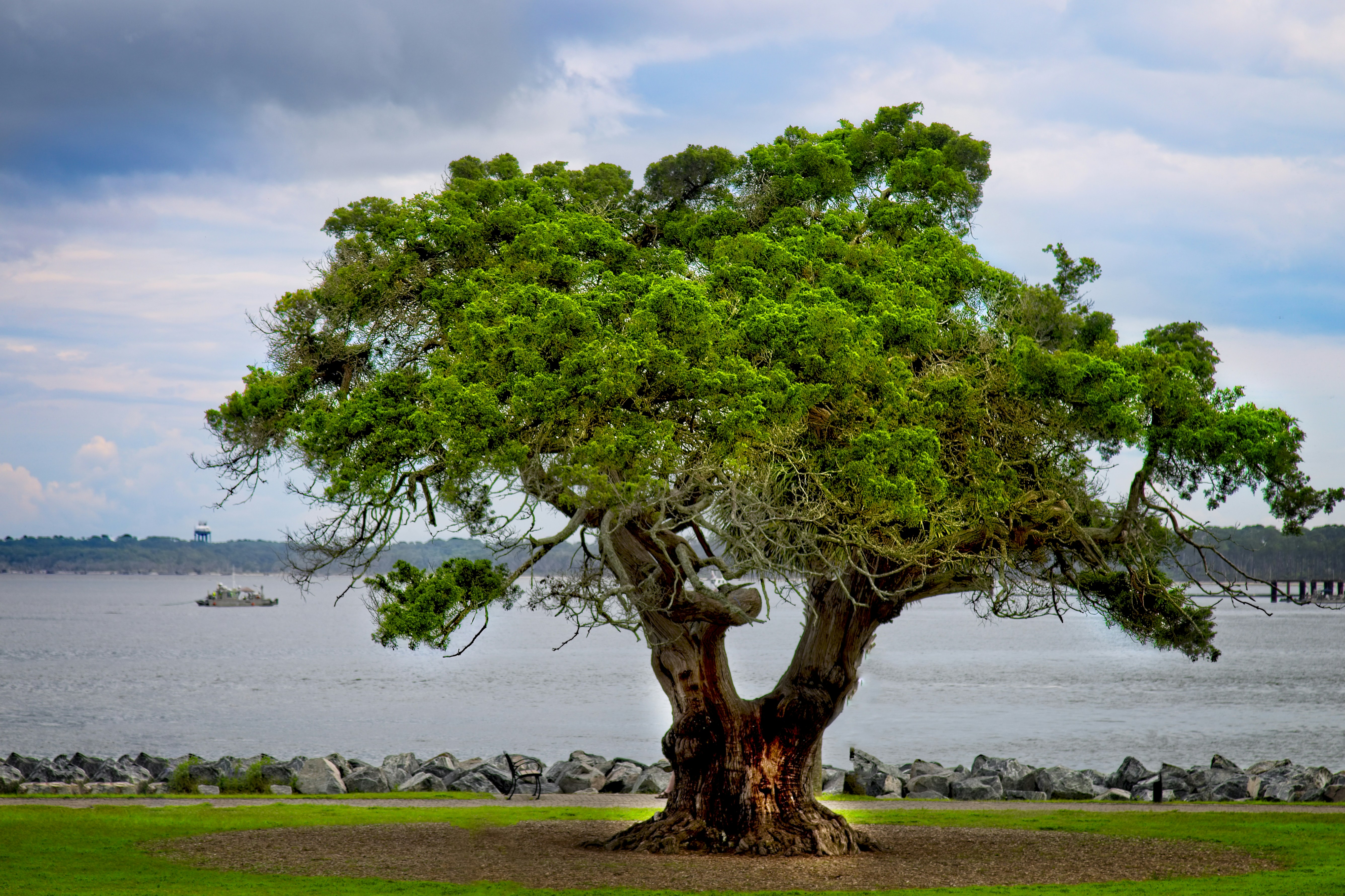 Photo by puregeorgia