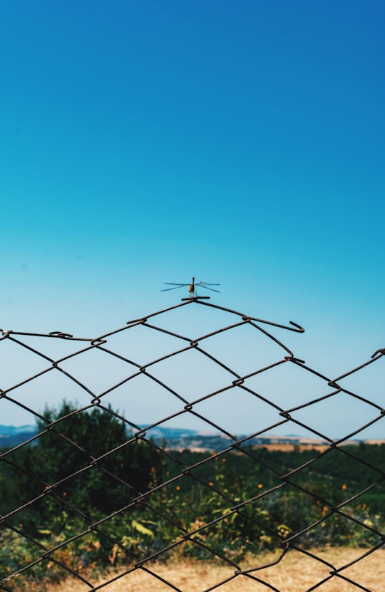 gray metal fence under blue sky during daytime in Agsu Azerbaijan