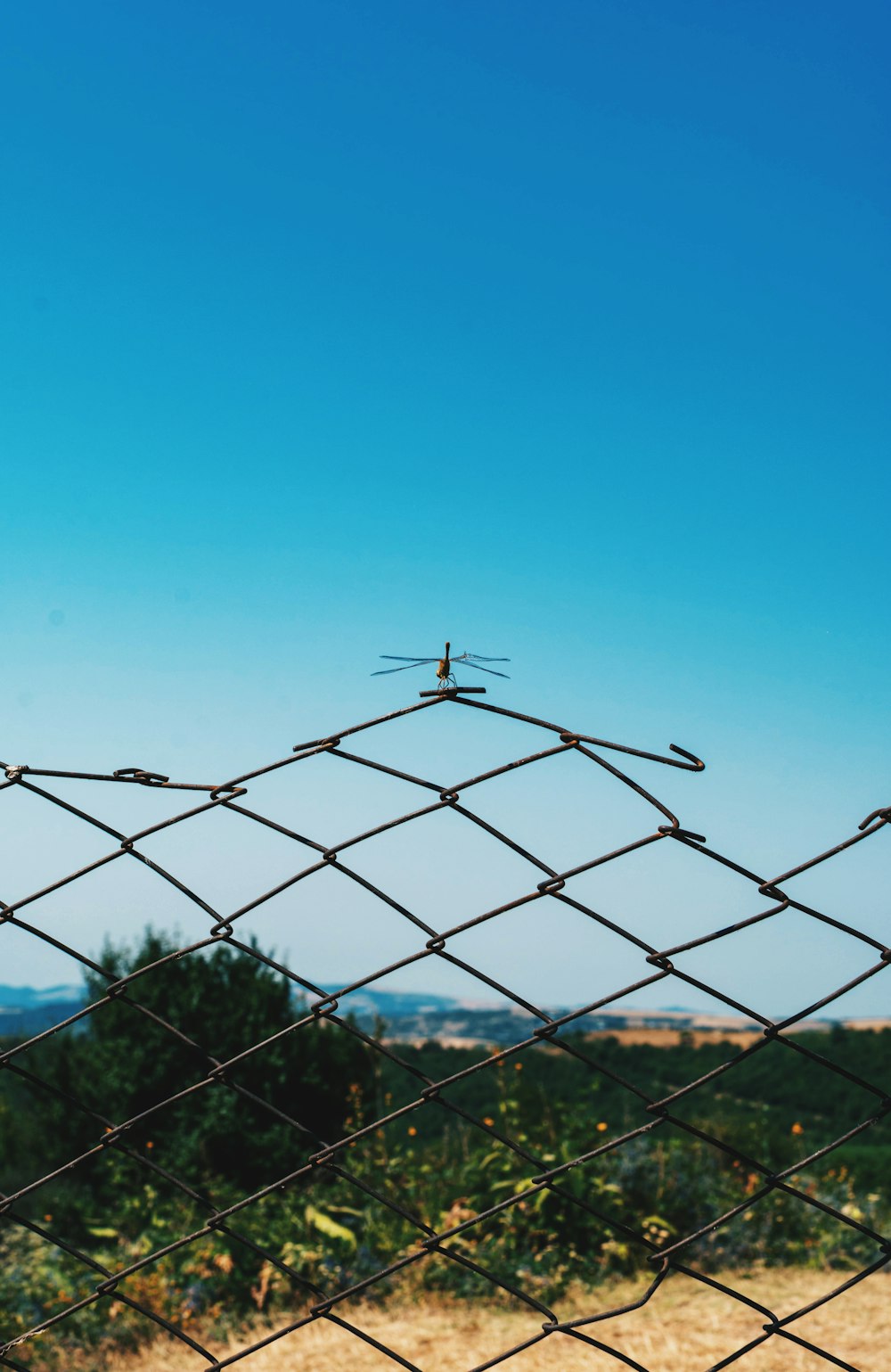 gray metal fence under blue sky during daytime