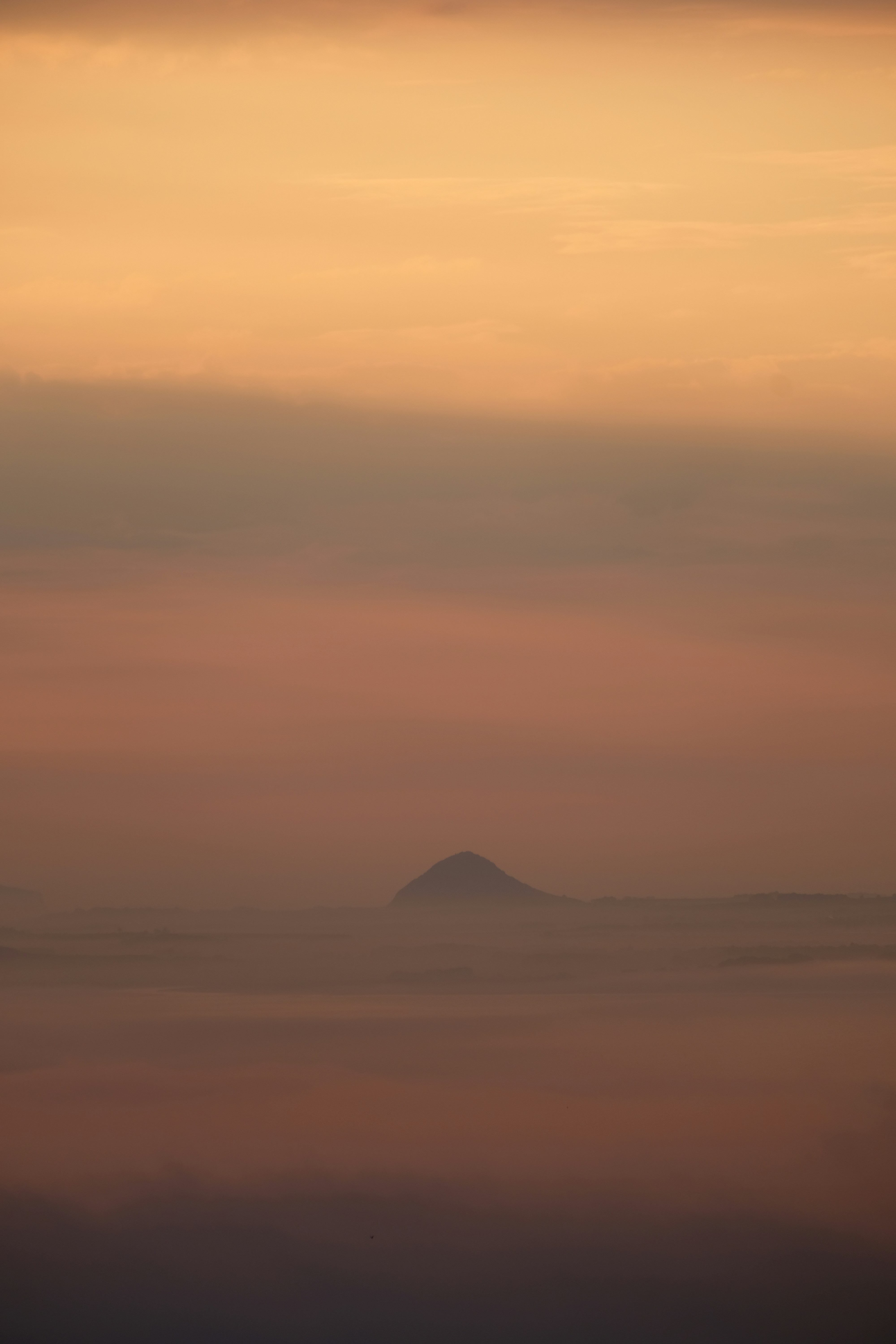 Photo by zaralazarov