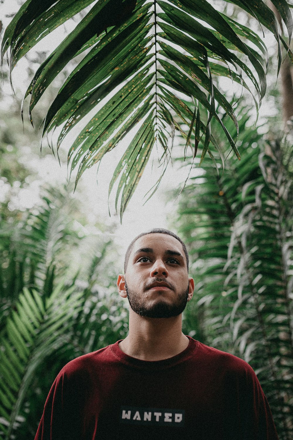 man in red crew neck shirt standing near green leaf tree during daytime