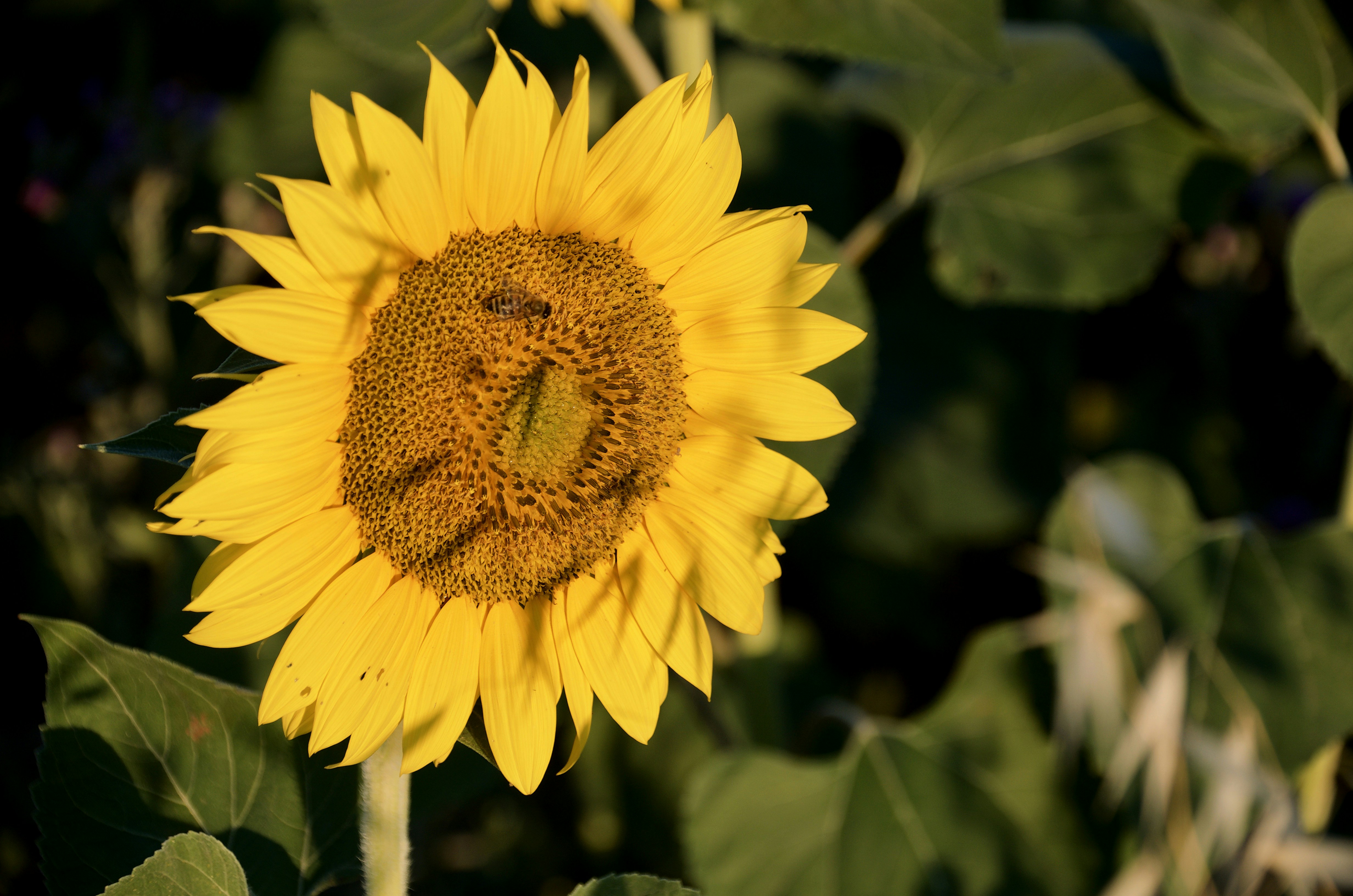 Photo by mariobeducci