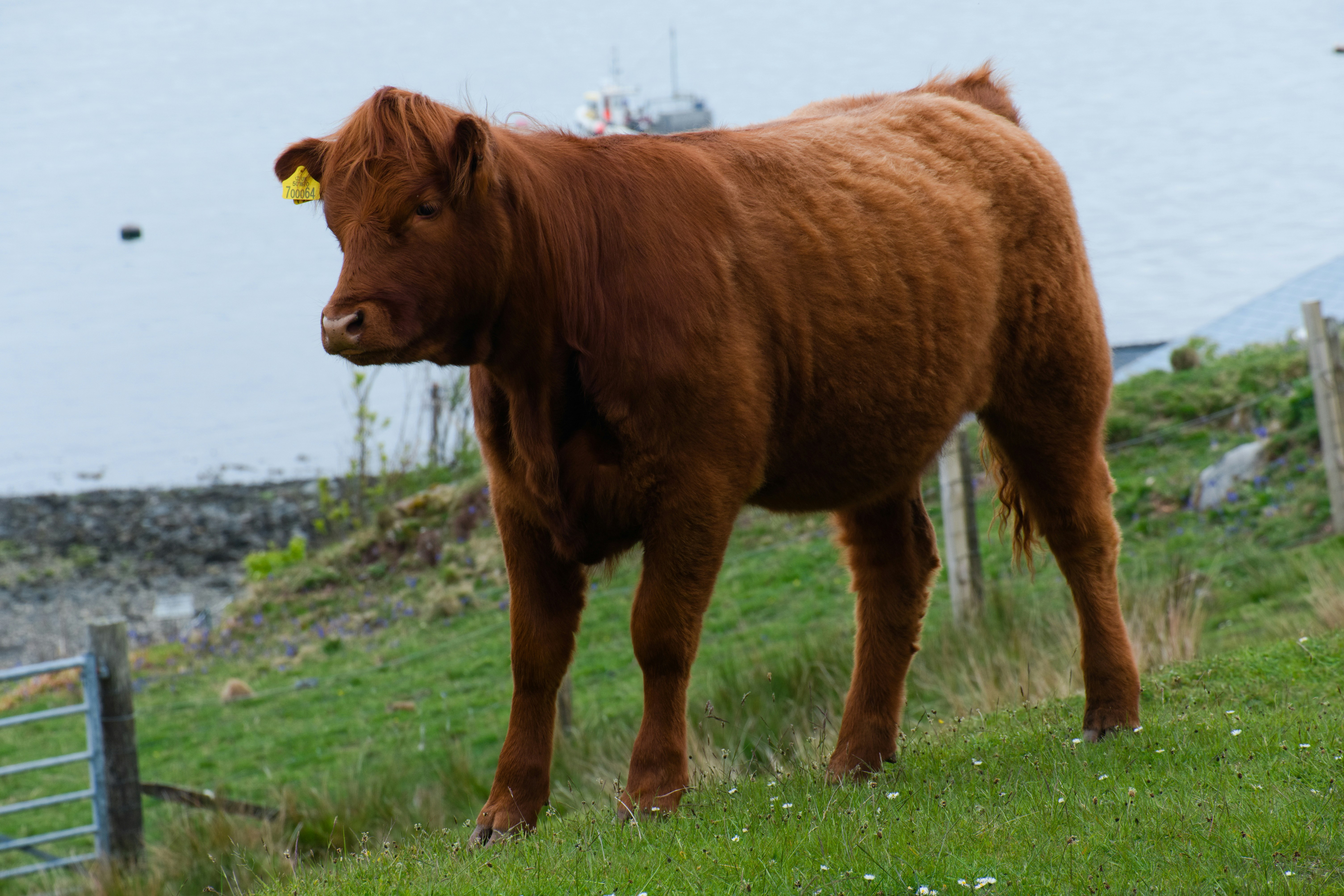 Photo by zaralazarov