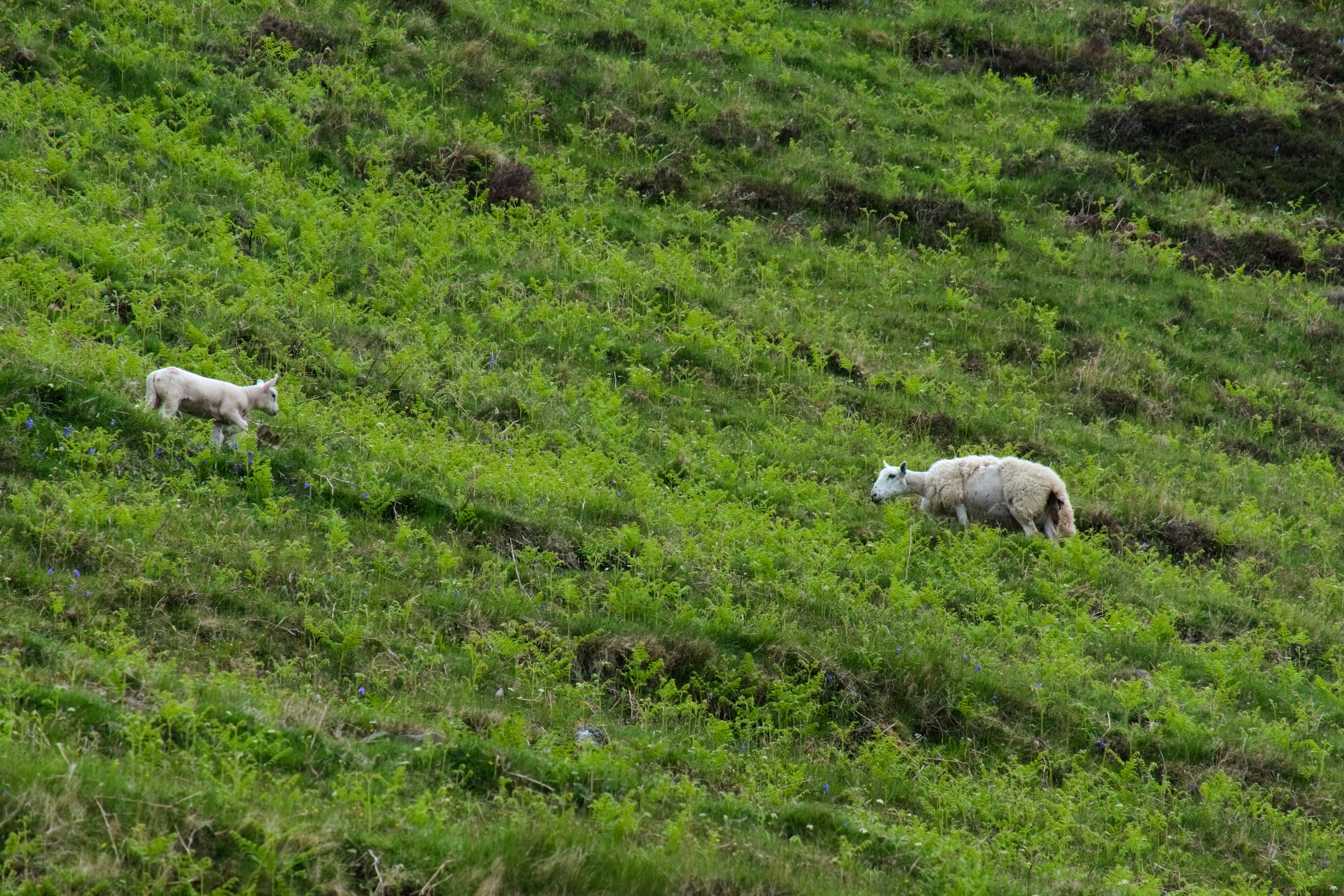 Photo by zaralazarov