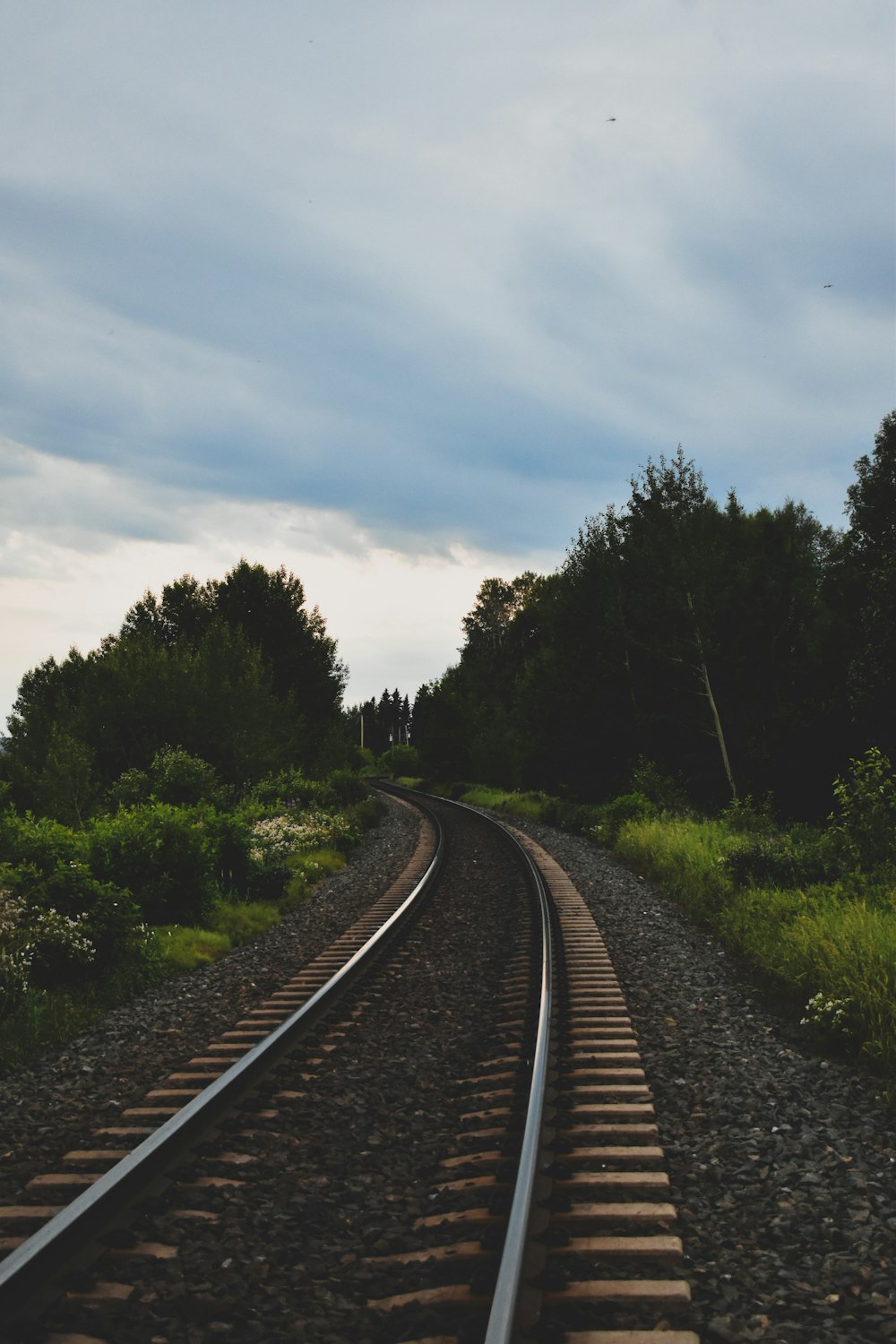 train rail near green trees under cloudy sky during daytime