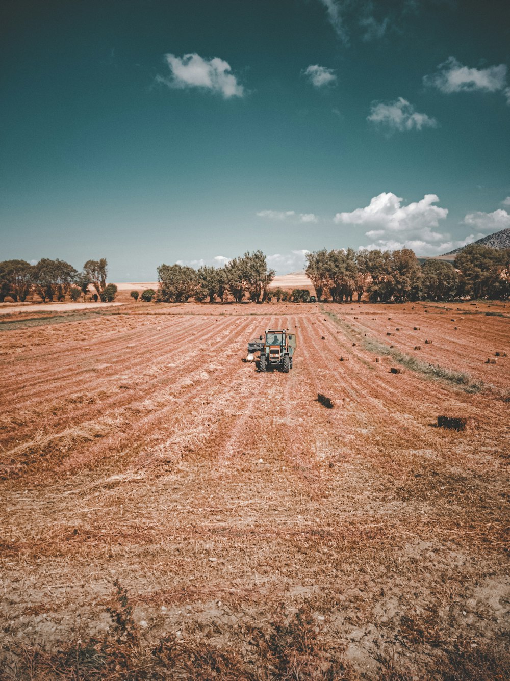 white and black truck on brown field under blue sky during daytime