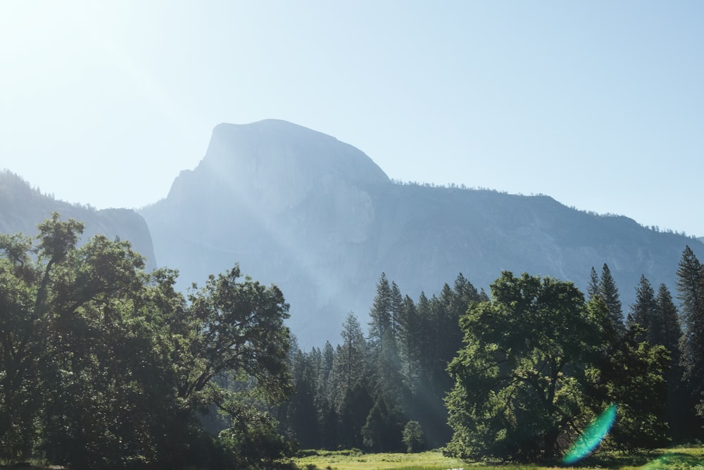 the sun shines on the mountains and trees