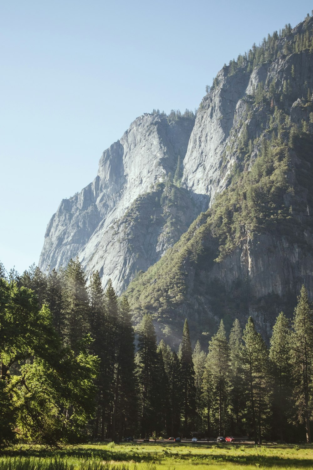 green trees near rocky mountain during daytime