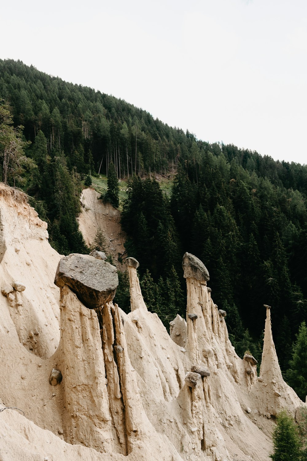 green trees on brown rocky mountain during daytime