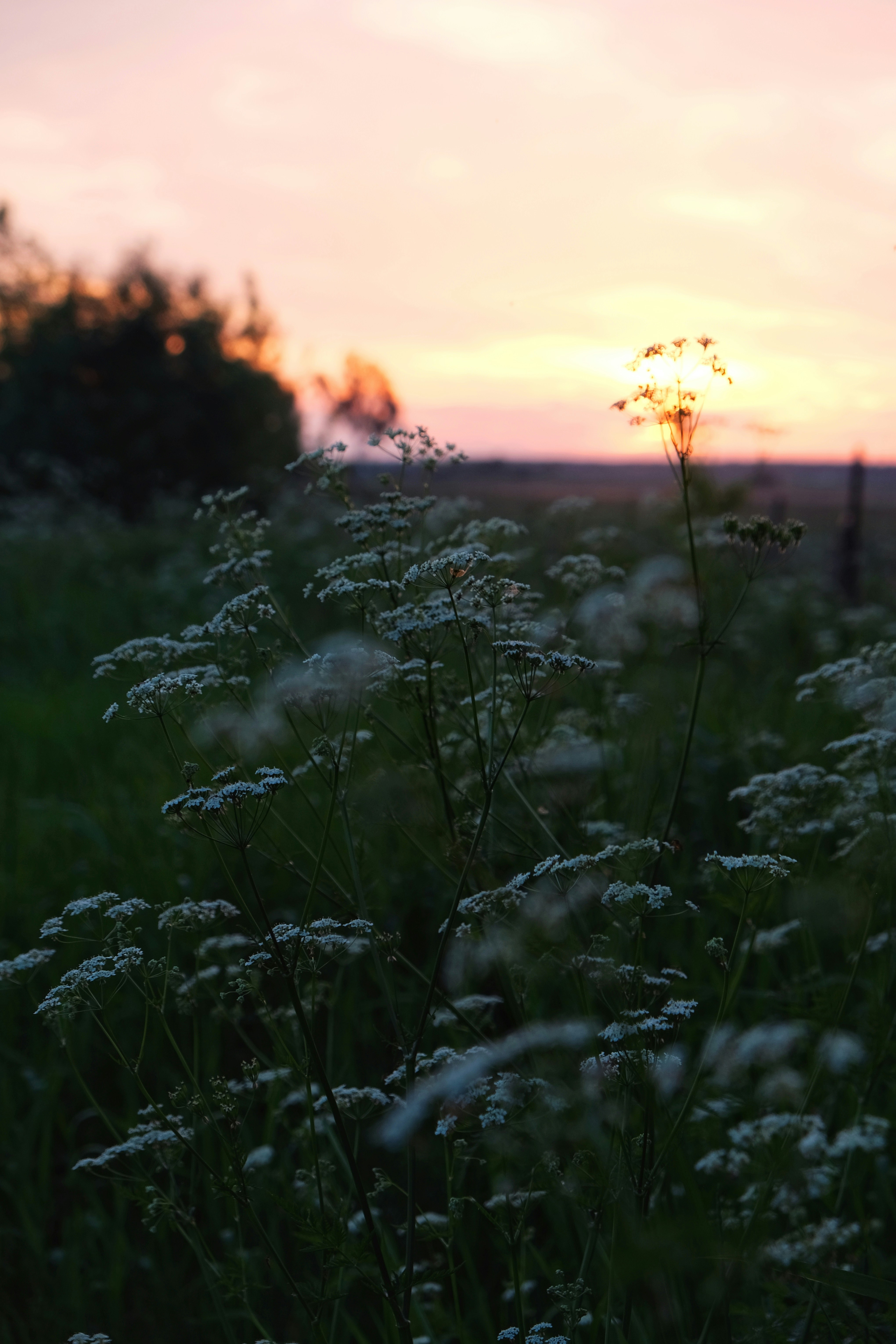 Photo by budkoolga