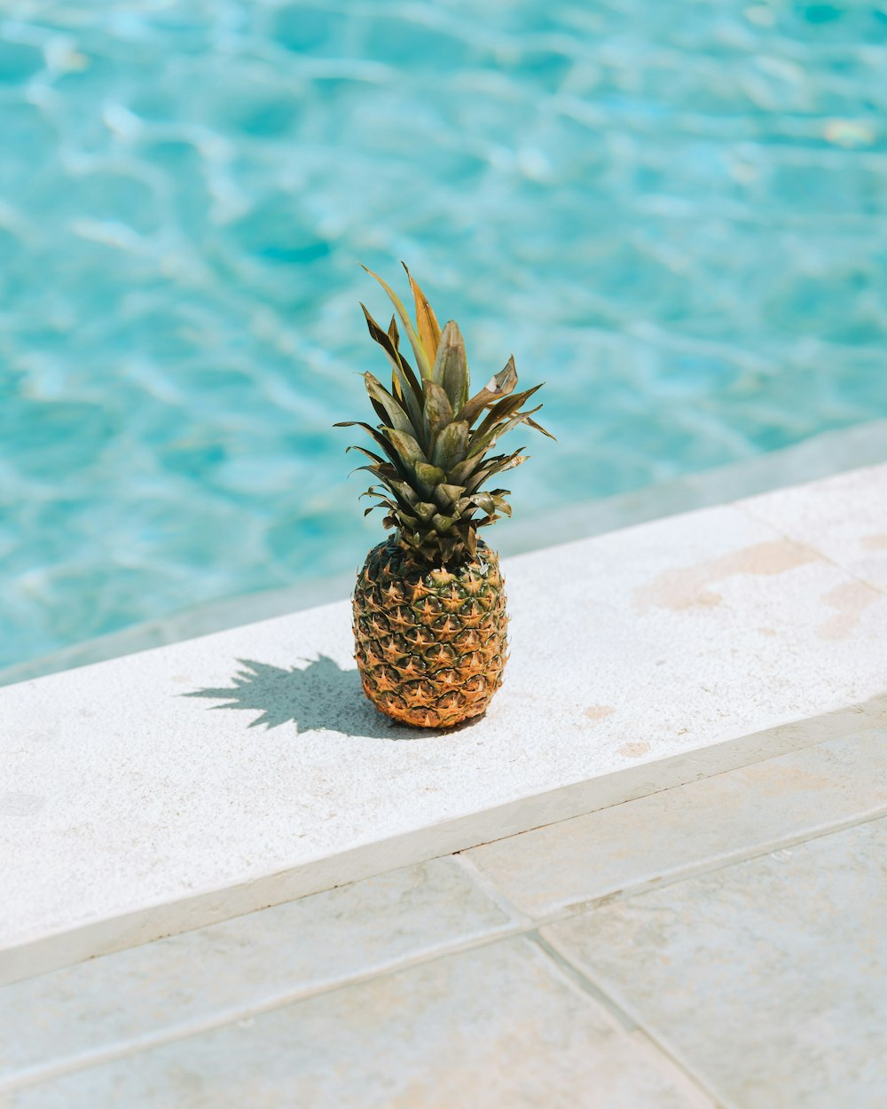 Fruta de piña sobre superficie de concreto blanco