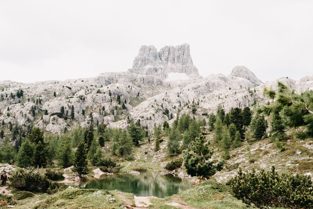 green trees near mountain during daytime