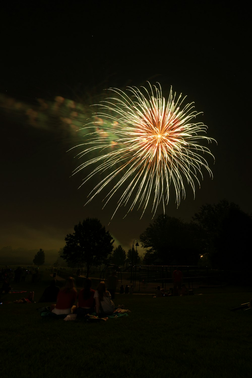people watching fireworks display during night time