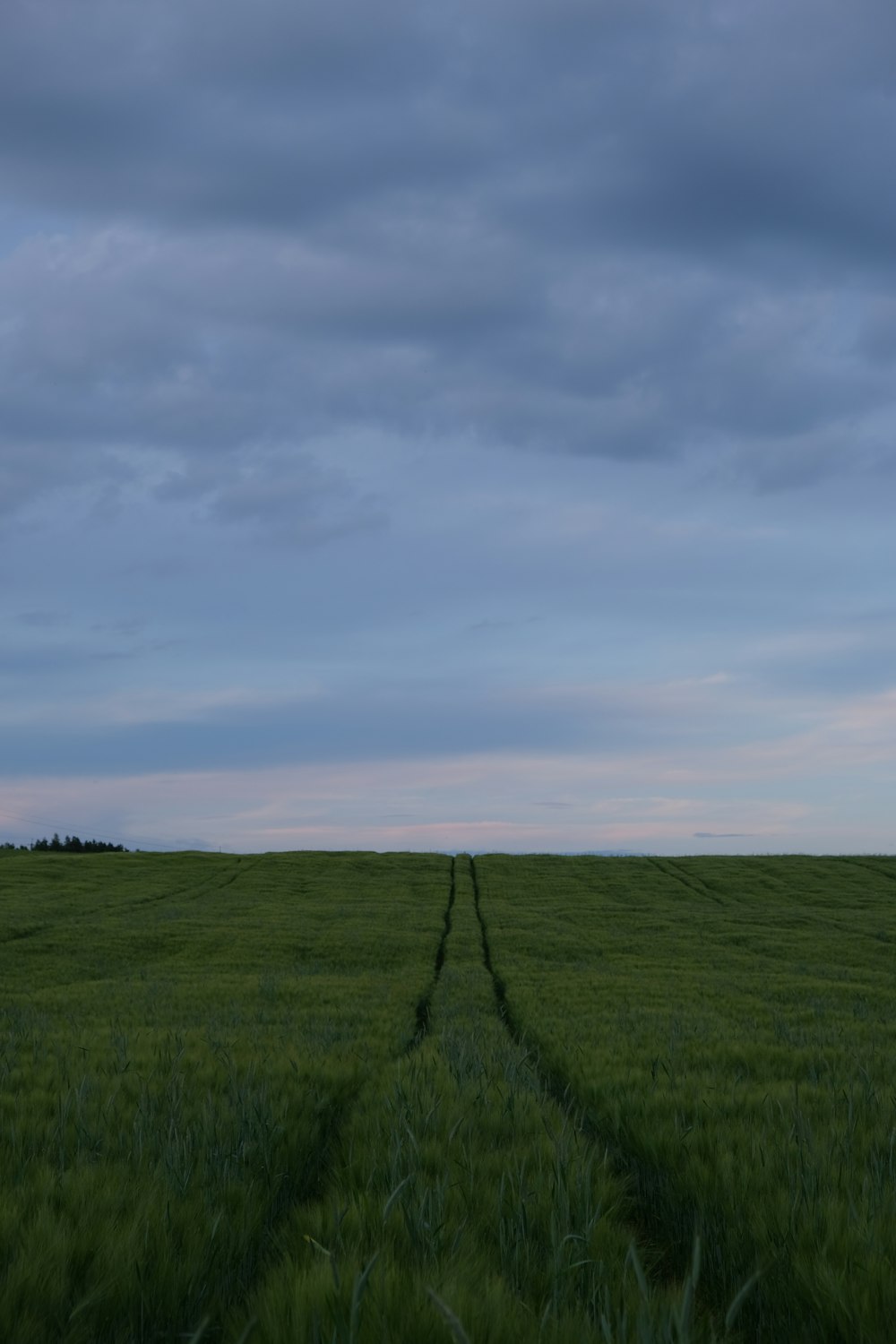 green grass field under white clouds