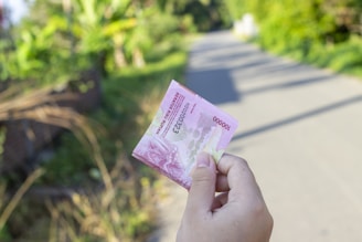 person holding a pink and white banknote
