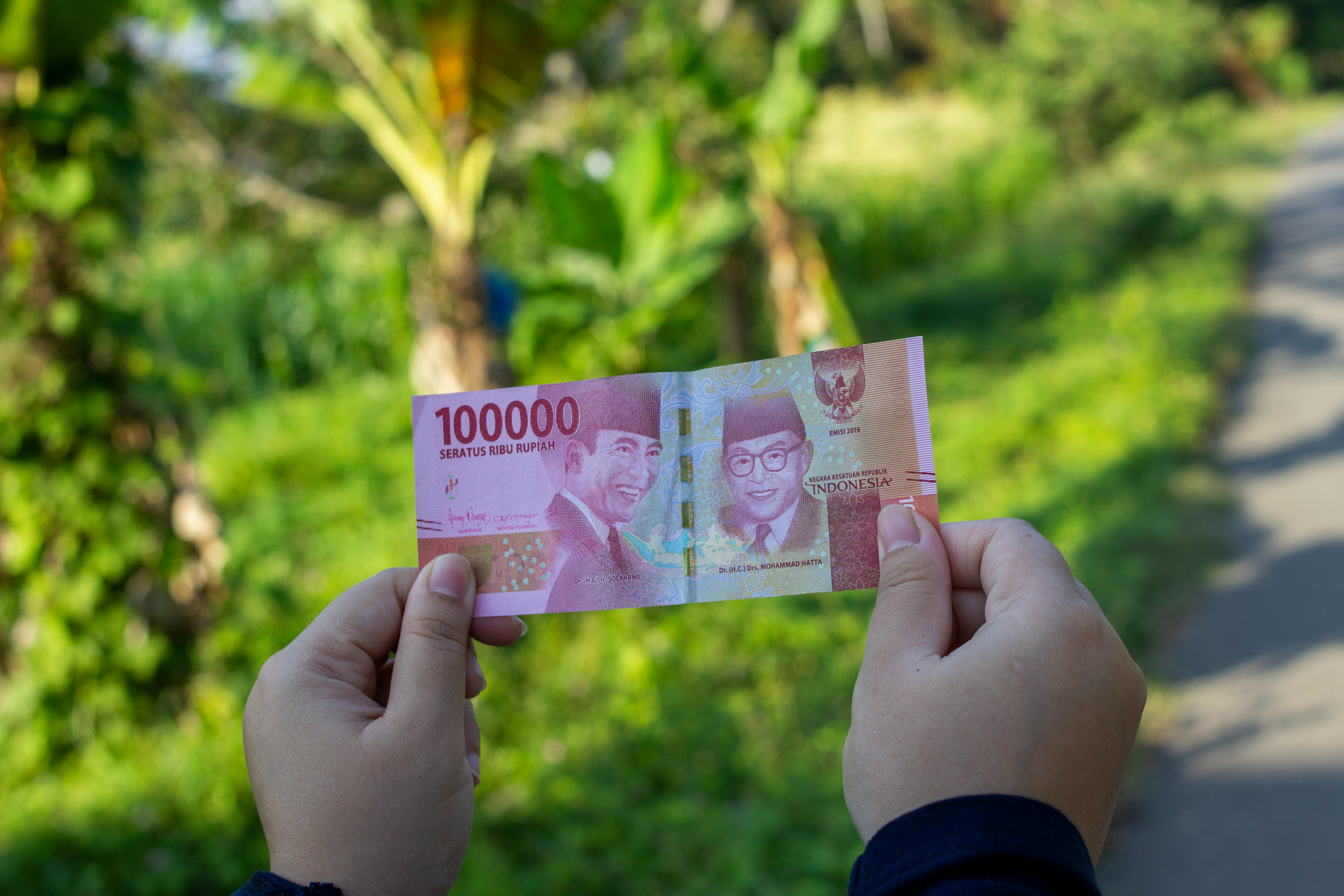 Indonesia Income Distribution