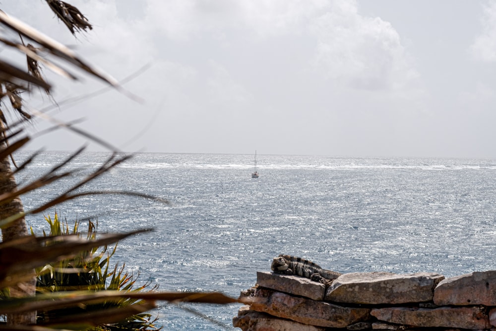 brown rock formation on sea under white clouds during daytime