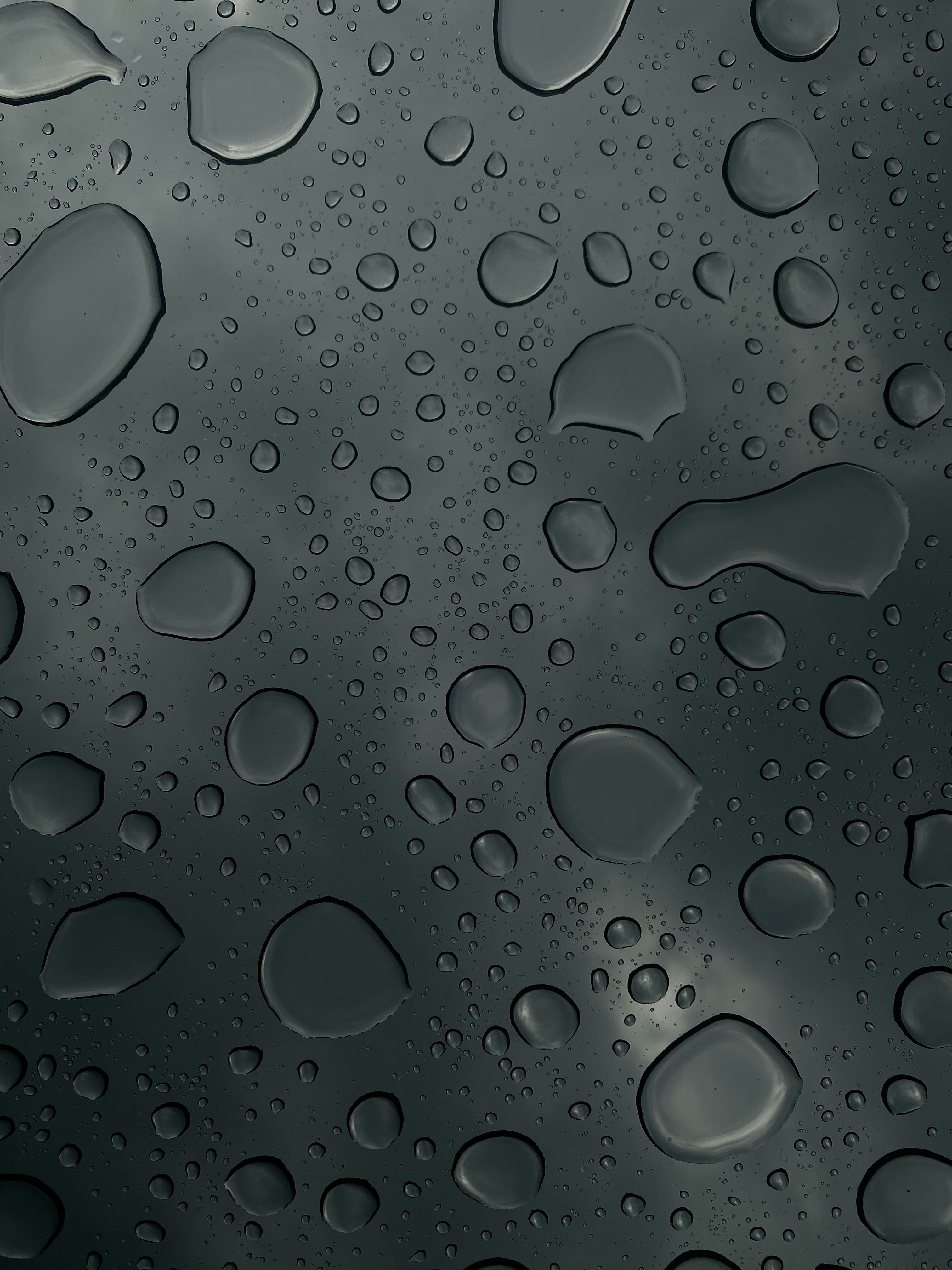 Photo by meganrandalll