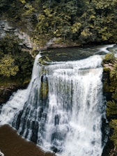 waterfalls in the middle of green trees