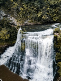 waterfalls in the middle of green trees
