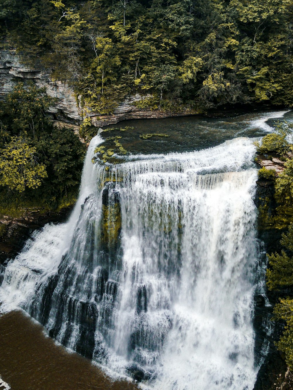 waterfalls in the middle of green trees