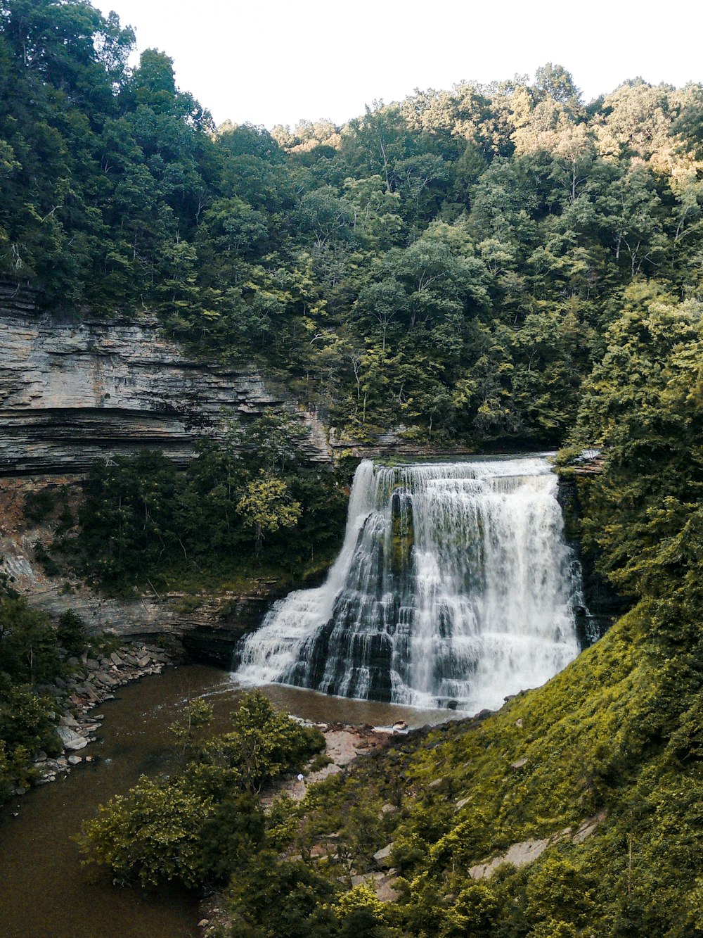 waterfalls in the middle of green trees