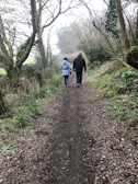Ana and Roger walking hand in hand along a quiet path lined with trees.