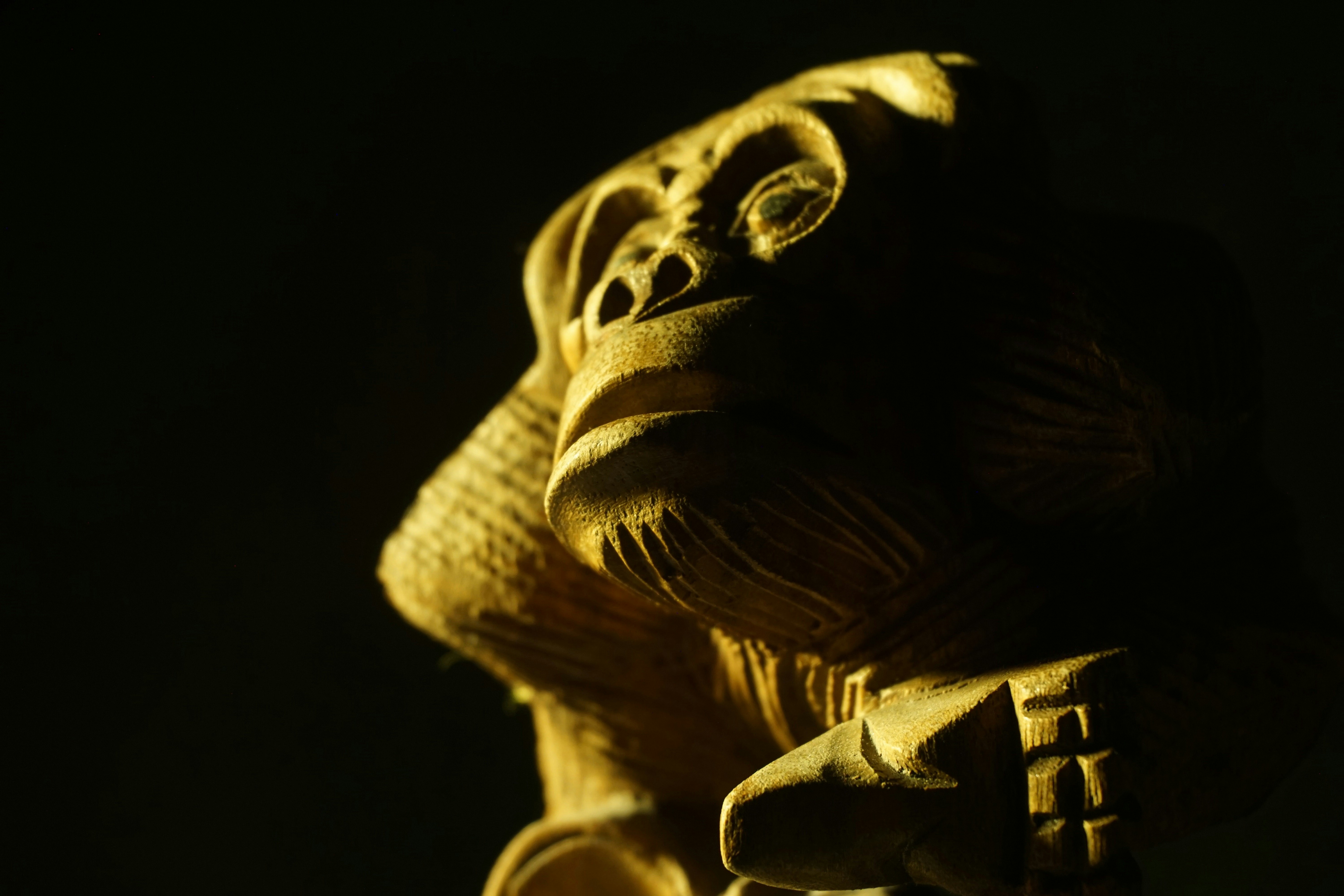 Photo by guner_sahiner