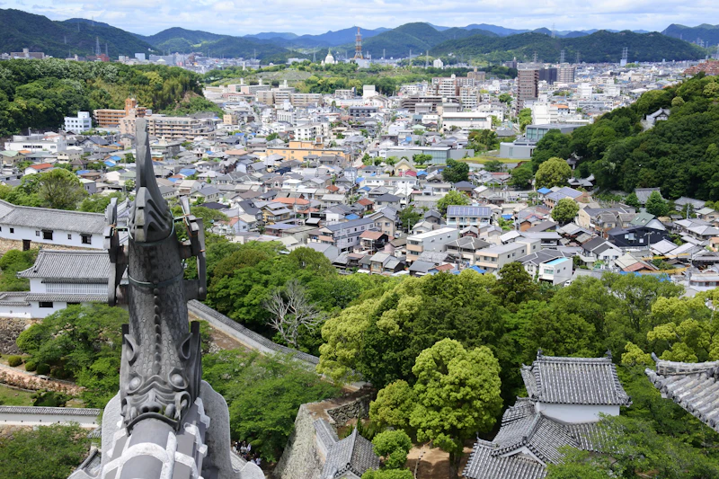 Best Pet-Friendly Hotels and Stays in Himeji for Travelers With Furry Companions