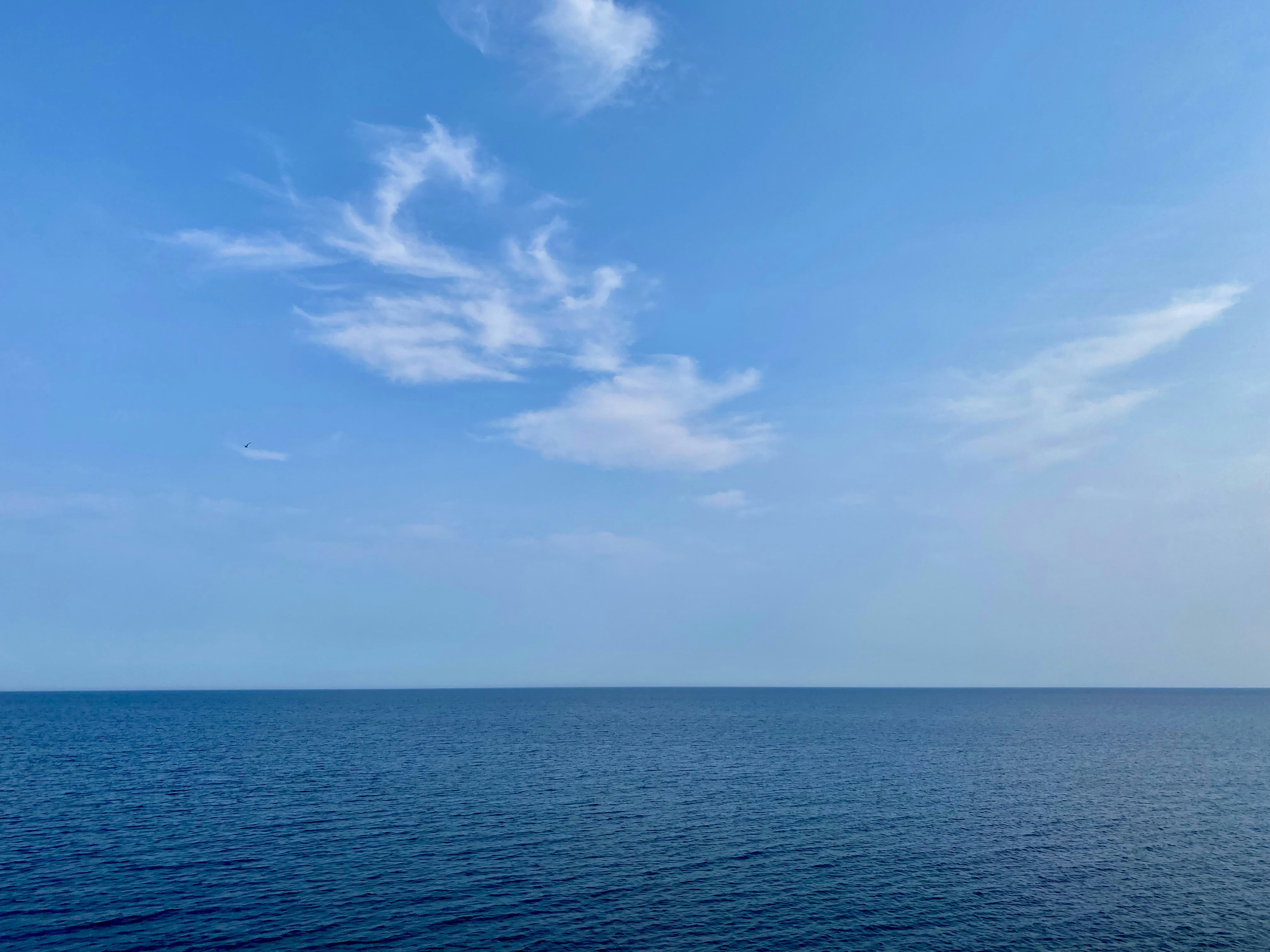 Photo by huangjingrain