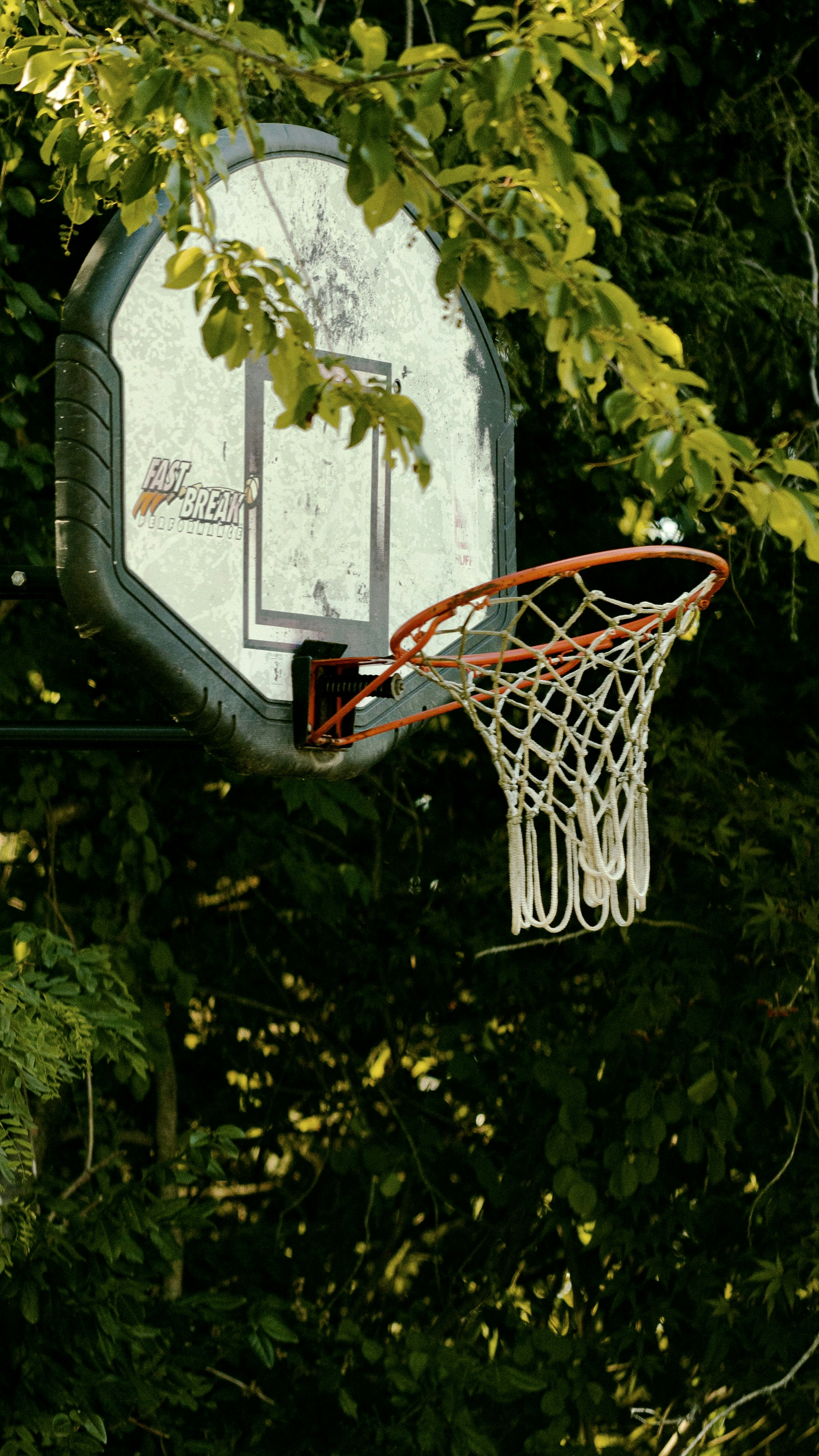 White and orange basketball hoop photo Free Hoop Image on Unsplash