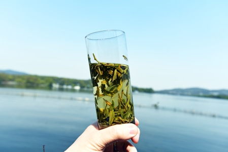 A hand is holding a glass filled with green tea leaves submerged in water. The background features a serene lake with blurred trees and hills in the distance under a clear blue sky.
