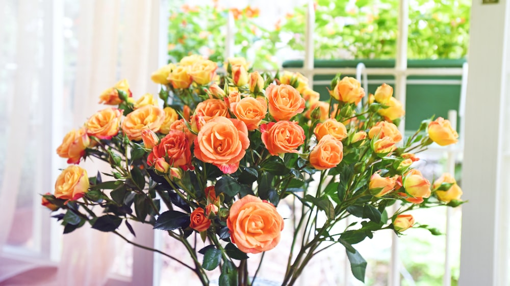 orange flowers on white ceramic vase