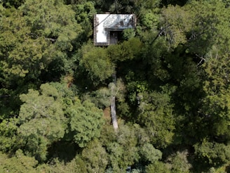 Aerial view of a dense forest area where a pet search operation is underway.