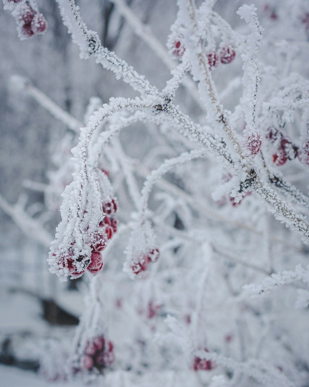 white snow on black background