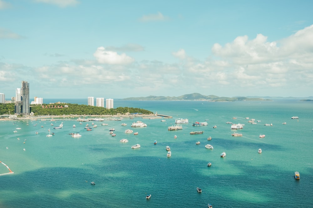 people on beach during daytime