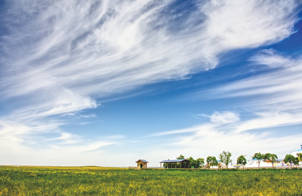 green grass field under blue sky during daytime