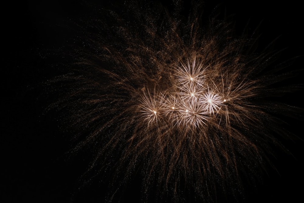 red and white fireworks during nighttime