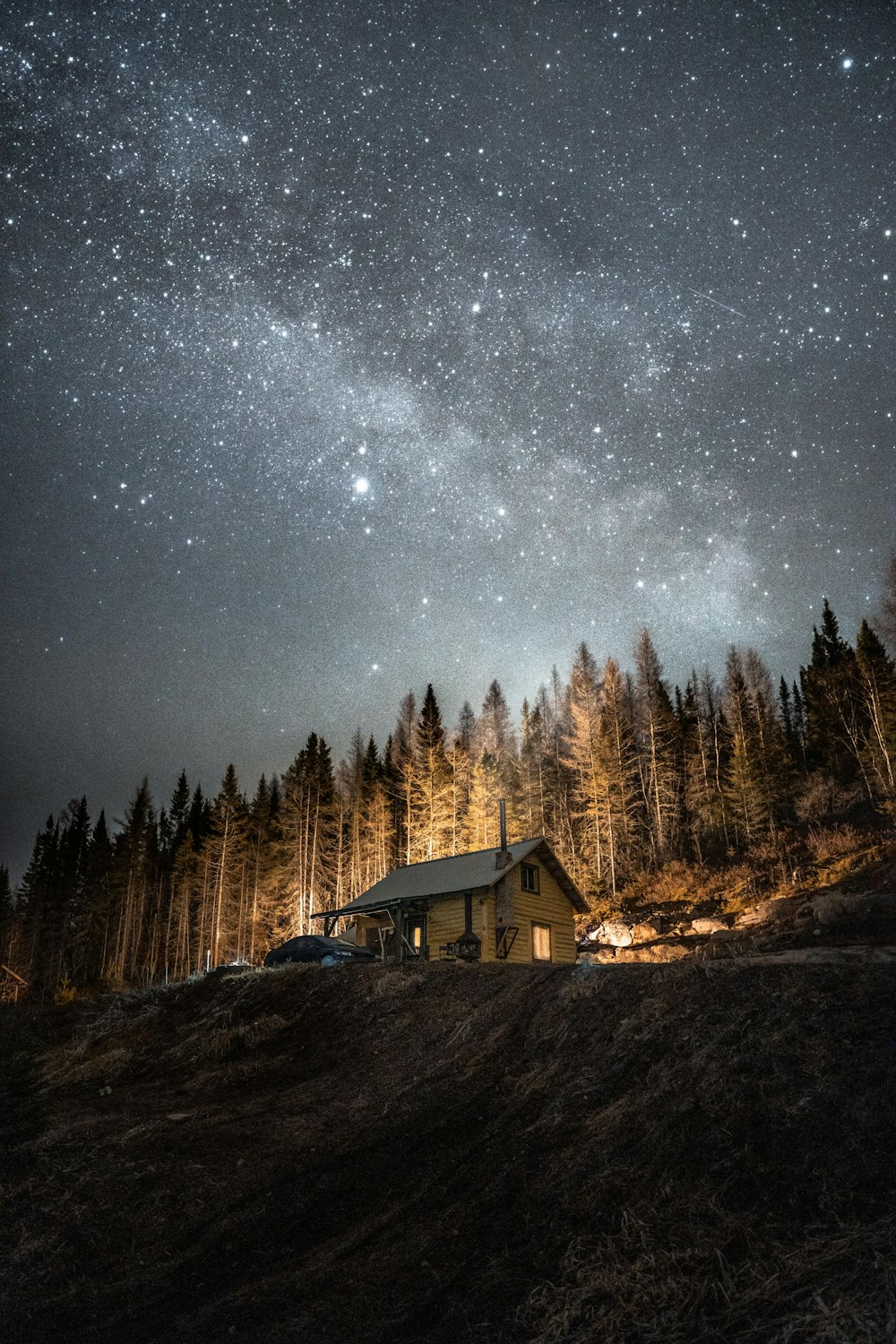 brown wooden house near trees under starry night