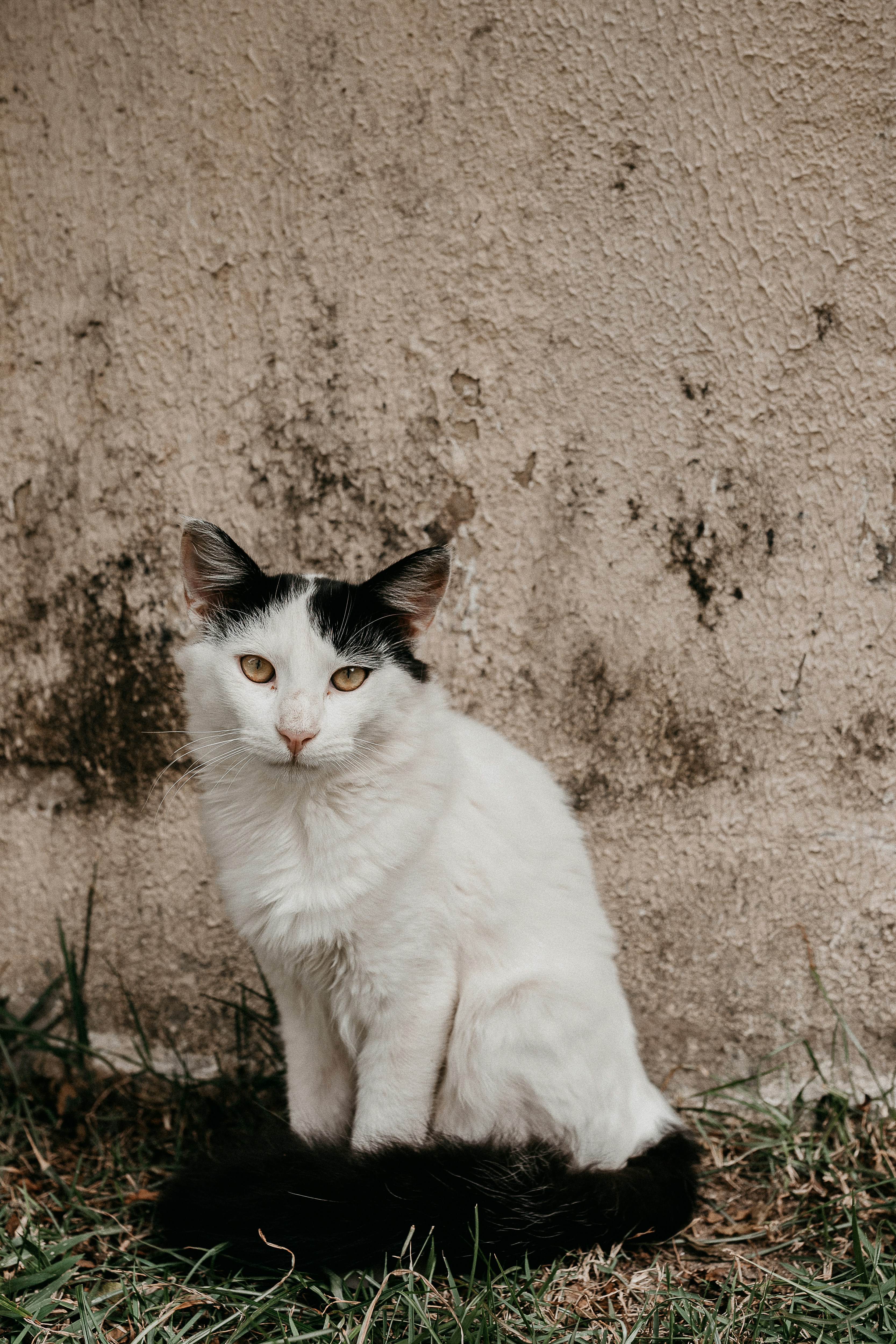 Photo by vitormonthay