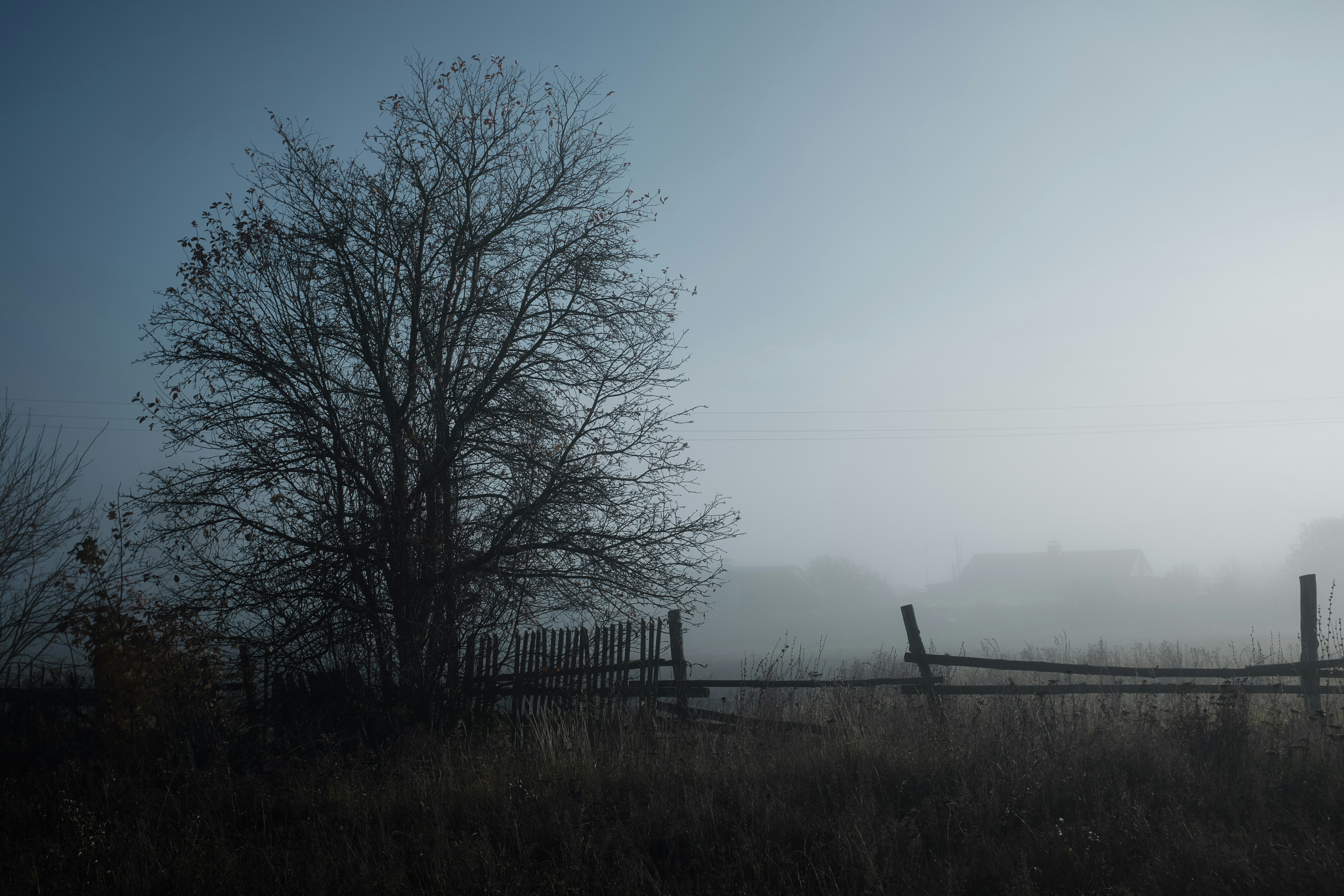 Photo by alexanderstartsev