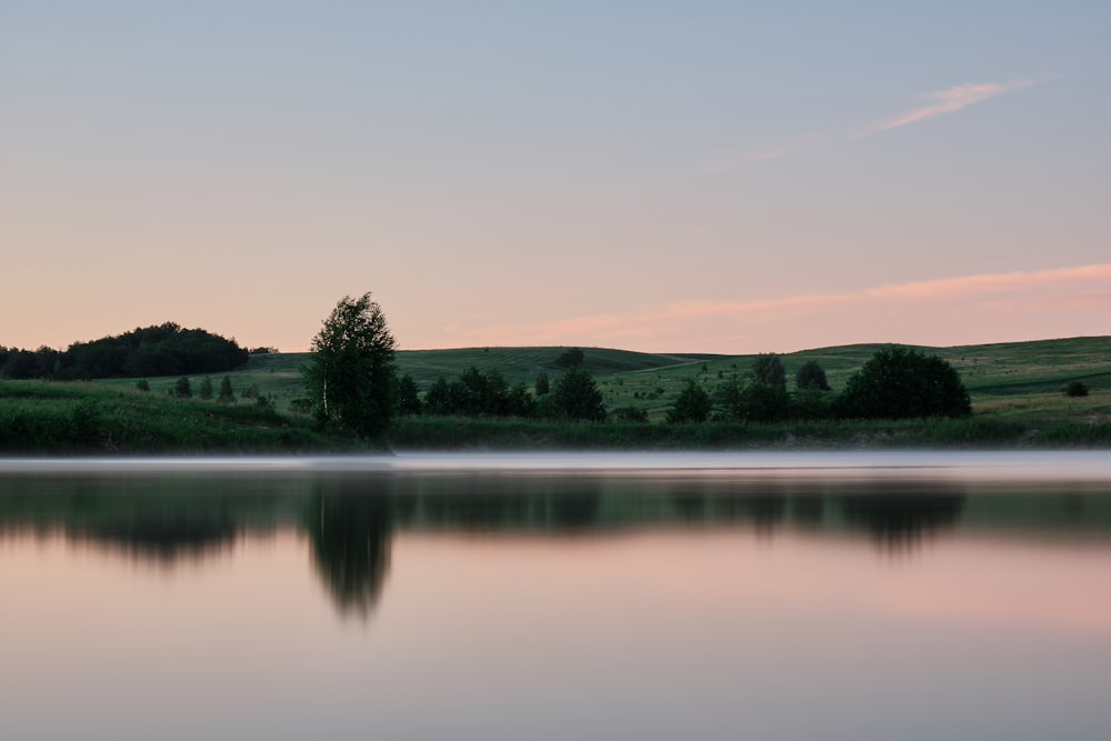 green trees near lake during daytime