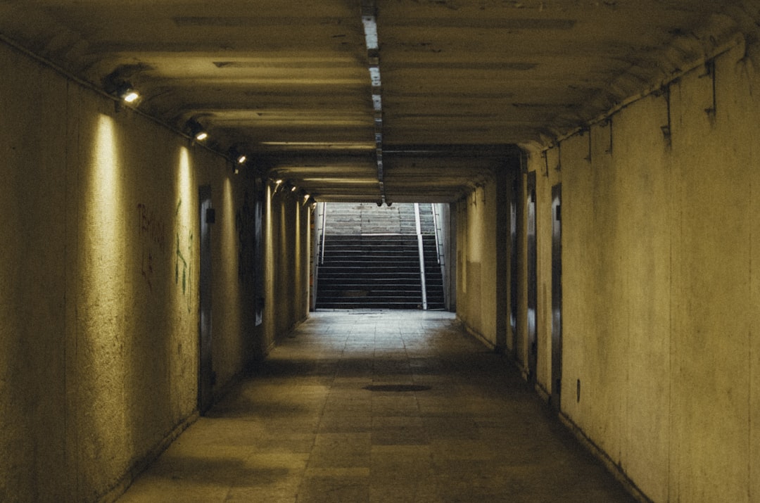 brown and black hallway with lights turned on during daytime