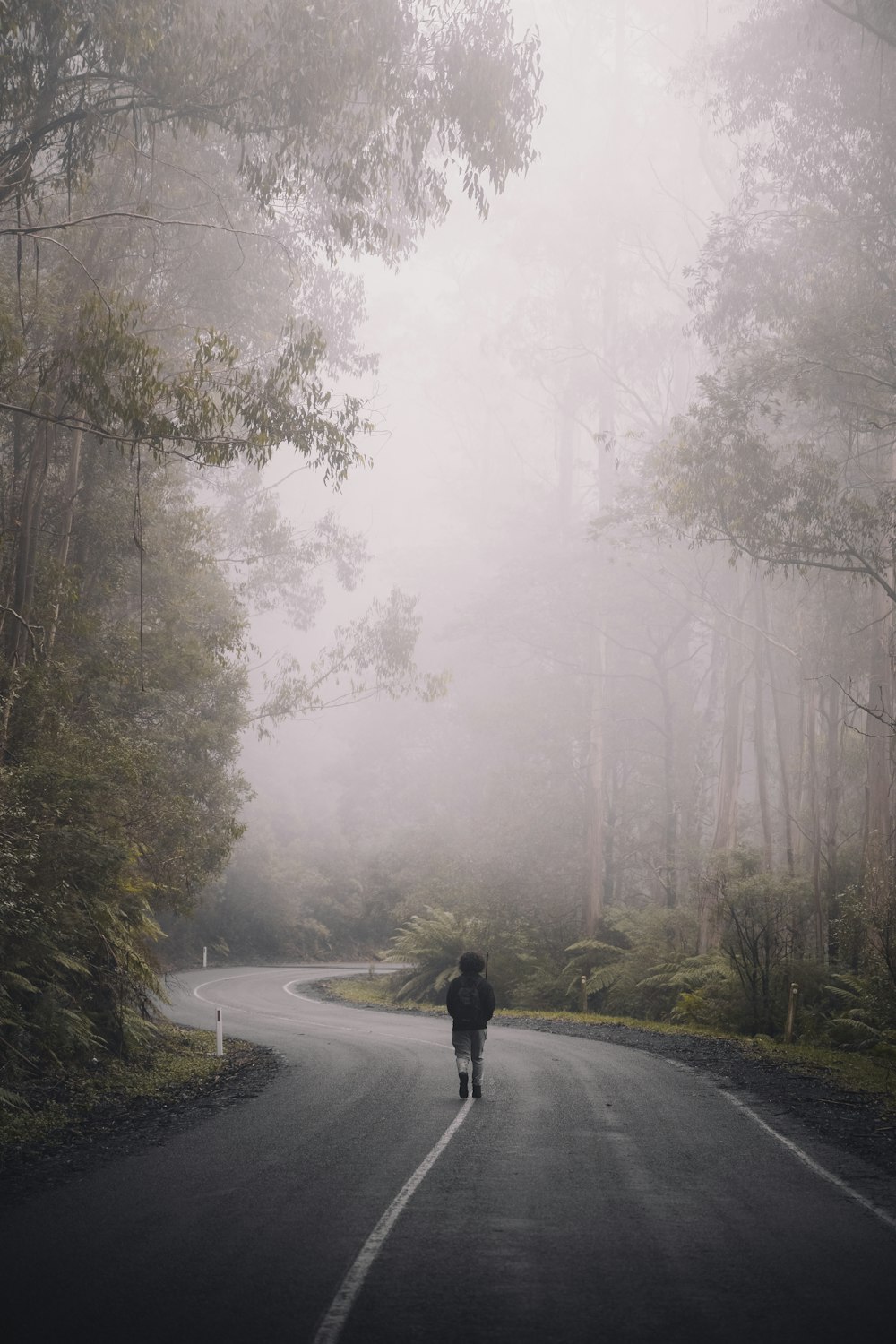 霧の天気の中、木々の間の道を歩く黒いジャケットを着た人