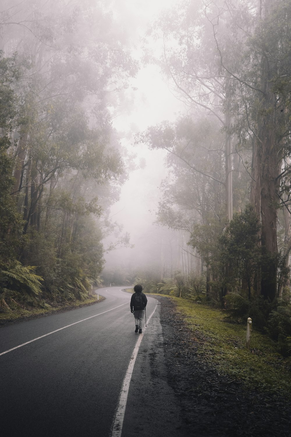 霧の天気の中、道路を歩く黒いジャケットを着た人