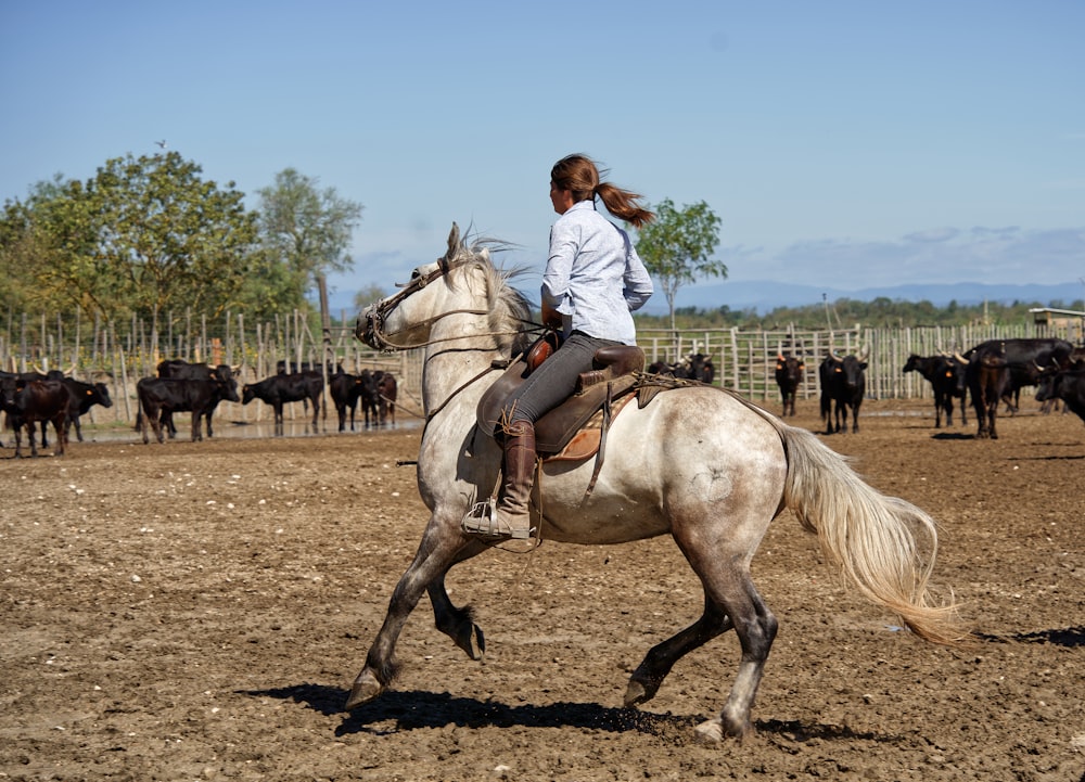 woman in white long sleeve shirt riding brown horse during daytime