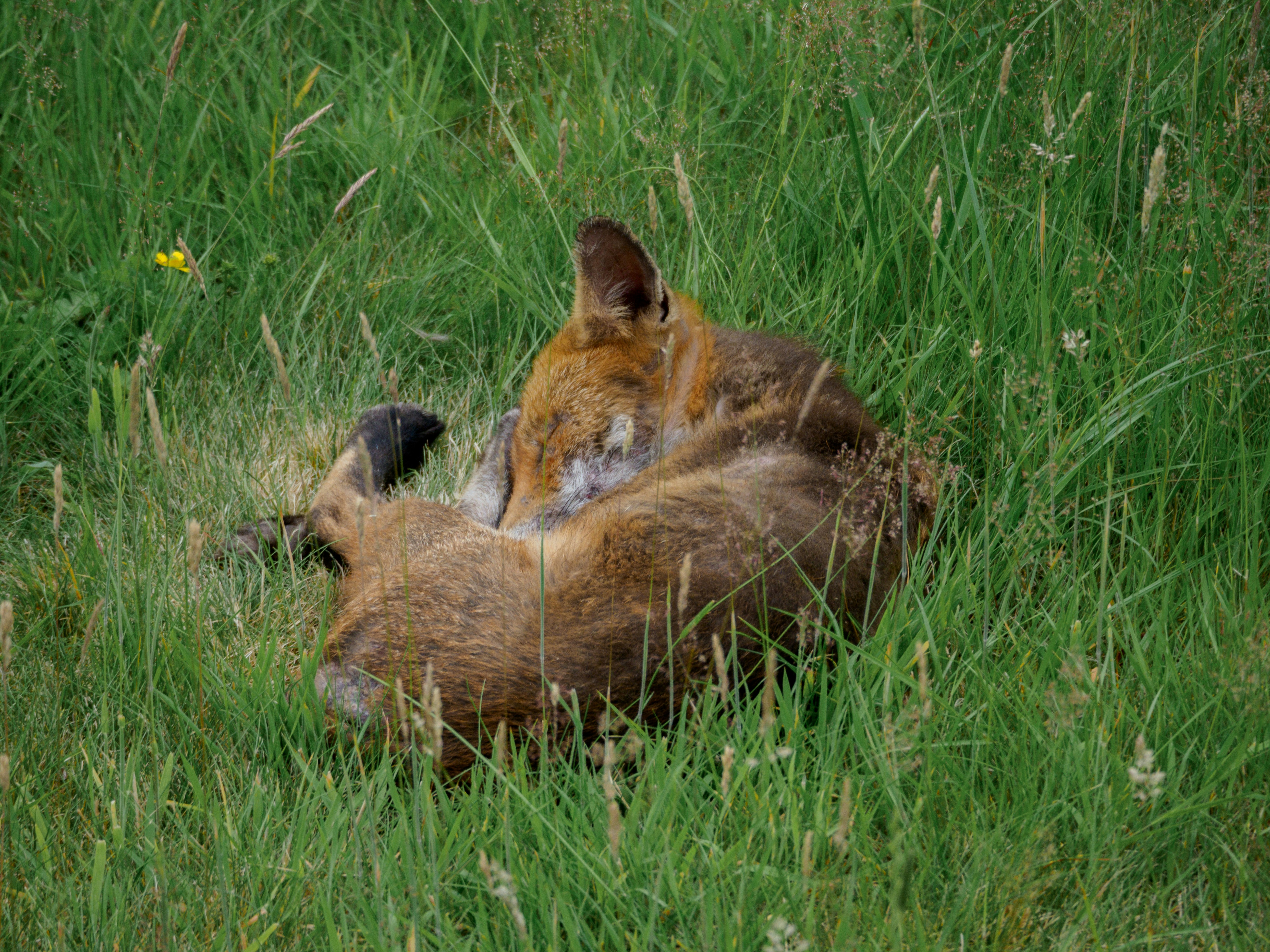 Photo by brett_jordan